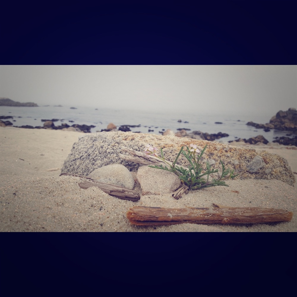 Welcome to the magical closet of MurMur.